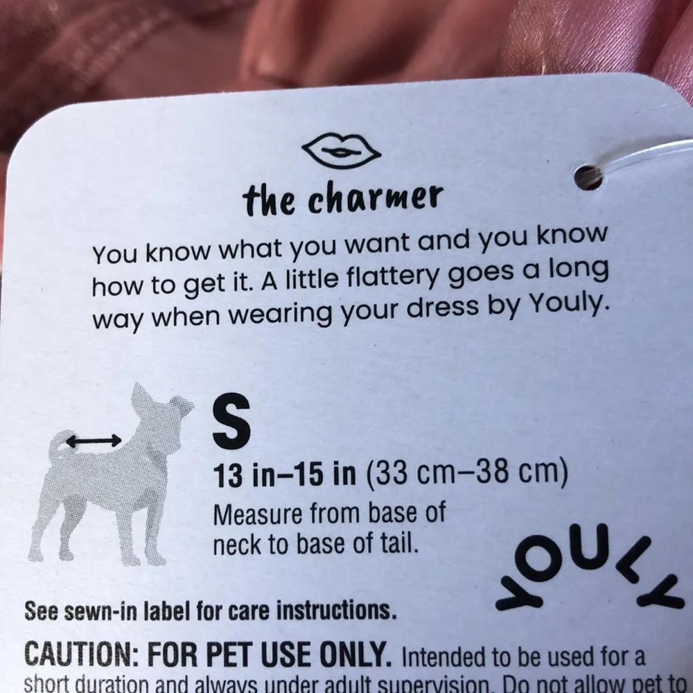 NWT Youly ruffle ‘the Charmer’ dog dress S